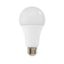 LED A21 100W Dim ES