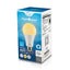 LED A21 150W Dim ES
