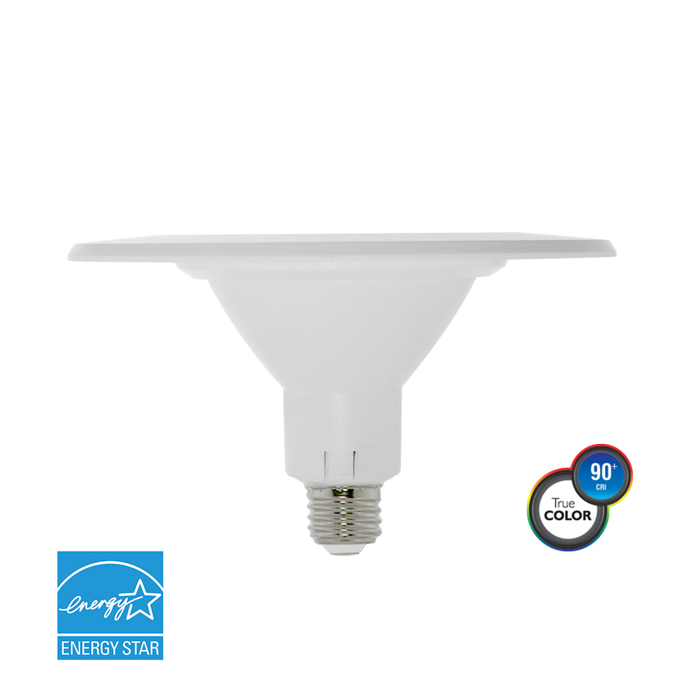 LED BRT6" 80W Dim ES