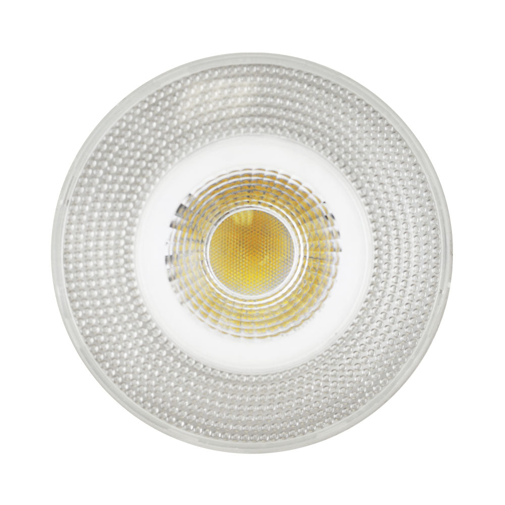 LED PAR38 12W Dim CEC