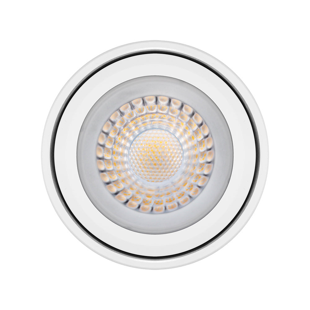 LED PAR38 17W Dim ES