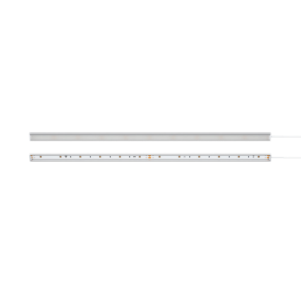 UV-C Linear Disinfection Light